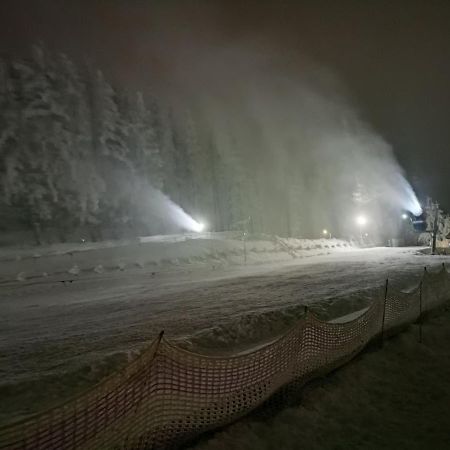 Willa Bumerang & Ski カルパッチ エクステリア 写真